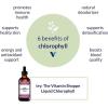 The Vitamin Shoppe Liquid Chlorophyll 100mg Green Superfood That